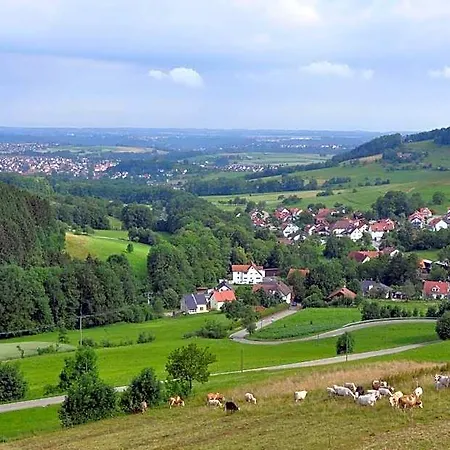 Landgasthof Hoelzle 3* Waldstetten (Ostalbkreis)