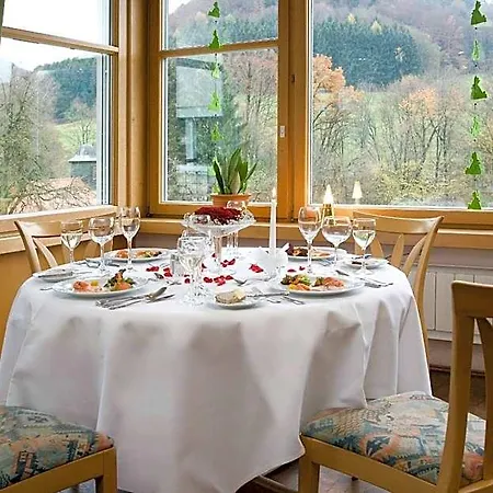 Landgasthof Hoelzle Hotel 3*