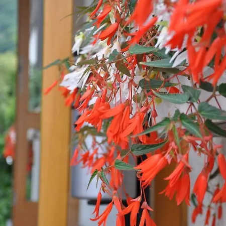 Landgasthof Holzle Hotel 3*