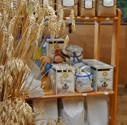 Landgasthof Hölzle Otel 3*