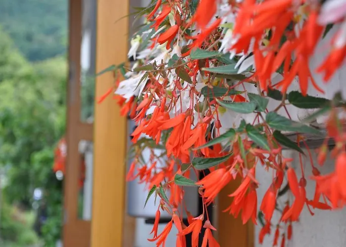 Landgasthof Hölzle Otel 3*